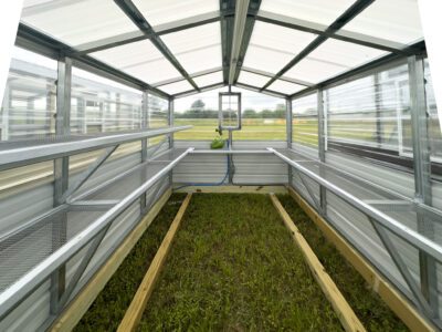 deluxe greenhouses for sale in Waycross Georgia