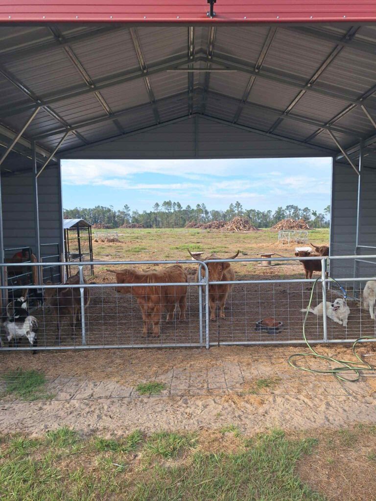 Agricultural Metal Buildings Waycross Georgia