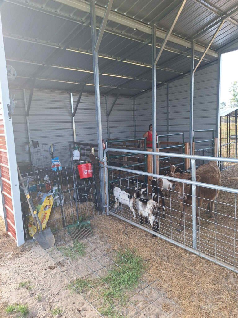 Agricultural Metal Buildings Waycross Georgia