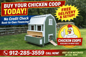 chicken coops near me in waycross georgia for sale